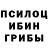 Псилоцибиновые грибы прущие грибы L Mamedova