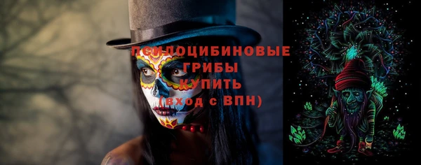 МДПВ Аркадак