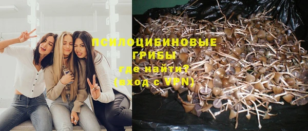МДПВ Аркадак