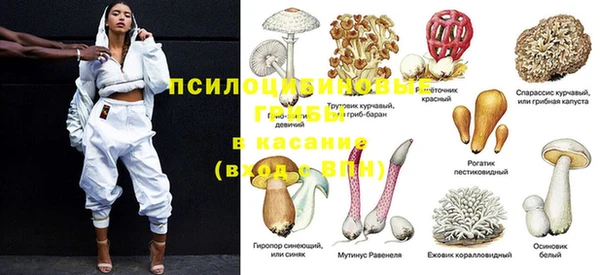 МДПВ Аркадак
